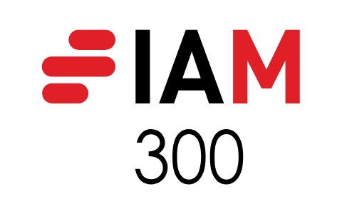 LOGO IAM 300